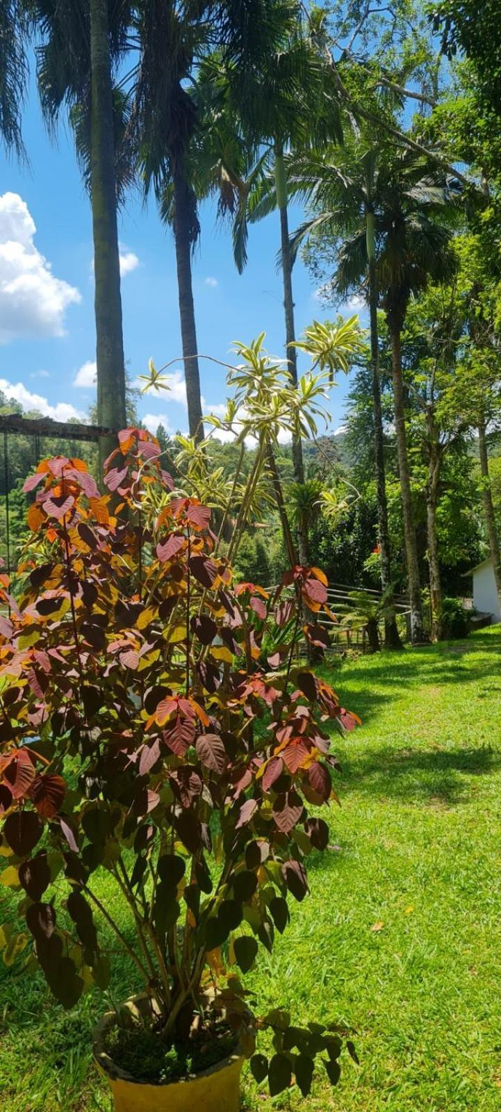 Sitio Saramandaia Villa Juquitiba Eksteriør billede
